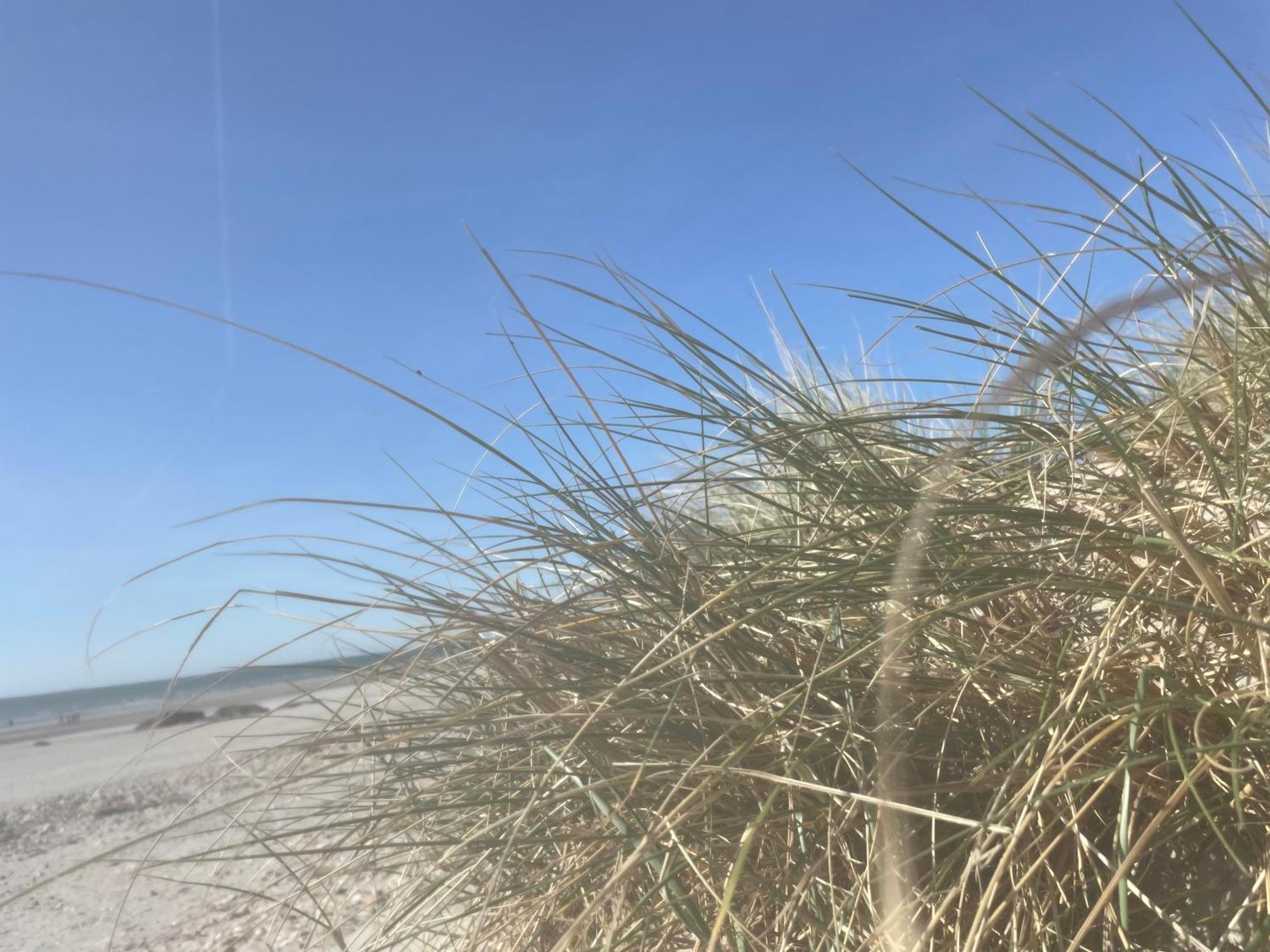 Vue Mer, Golfe Et Dunes- Residence Dunes Du Golfe ヴィムルー エクステリア 写真